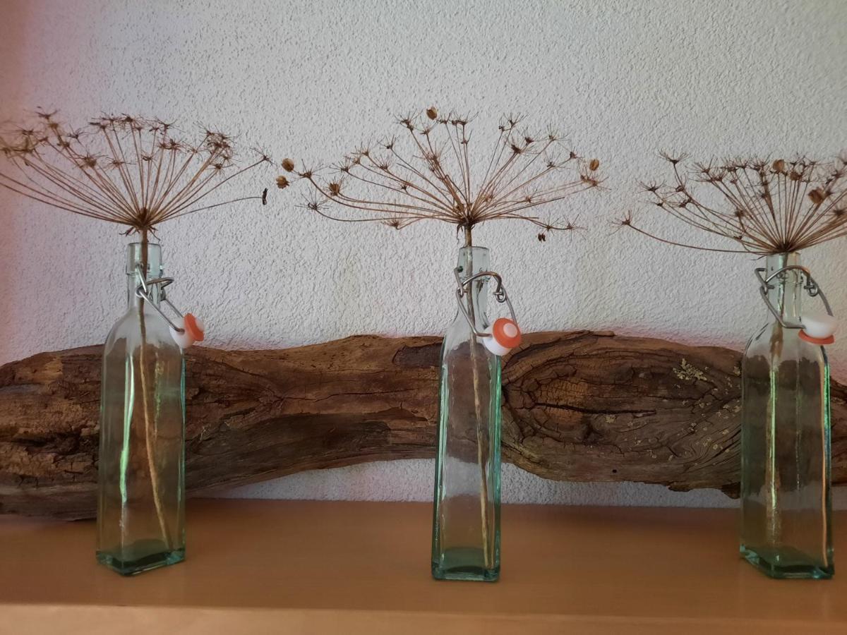 Haus Untergand Apartment Sankt Anton am Arlberg Ngoại thất bức ảnh