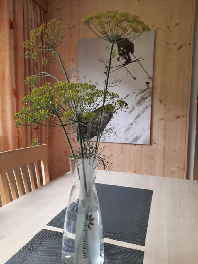 Haus Untergand Apartment Sankt Anton am Arlberg Ngoại thất bức ảnh
