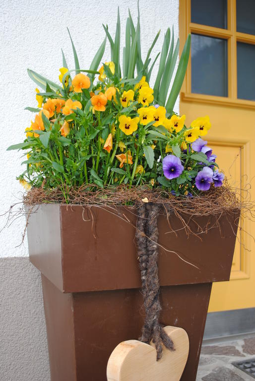 Haus Untergand Apartment Sankt Anton am Arlberg Ngoại thất bức ảnh